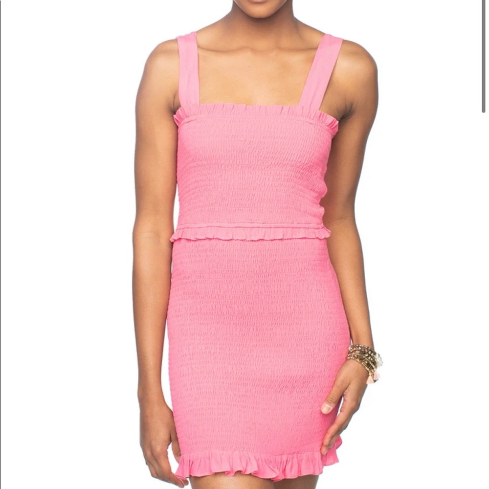 NWT Buddy Love Smocked Mini Dress Large
